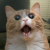Avatar for Ka3u from gravatar.com