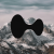 Avatar for gyke69 from gravatar.com