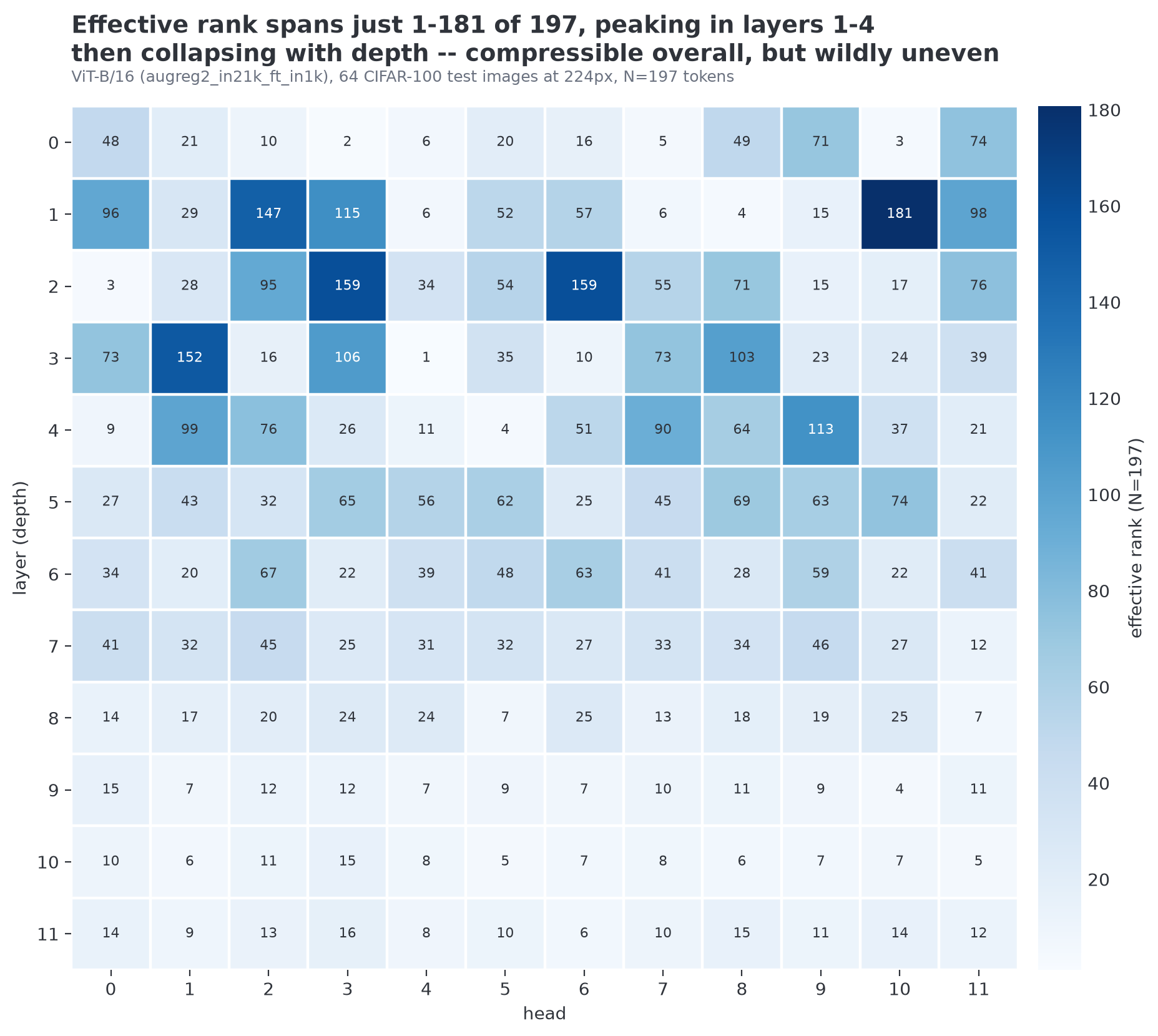 Effective rank per layer and head: spans 1–181, peaks in layers 1–4, collapses with depth