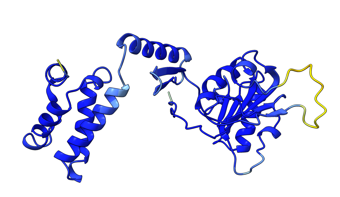P15807 AF structure