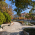 Avatar for sasanqua from gravatar.com