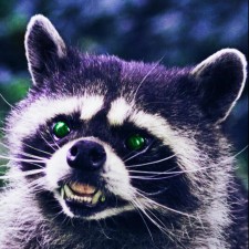 Avatar for Clorindo Notte from gravatar.com