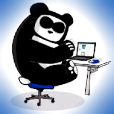 Avatar for panda73111 from gravatar.com