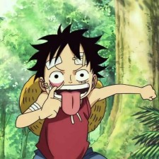 Avatar for luffy from gravatar.com
