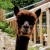 Avatar for crhym3 from gravatar.com