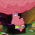 Avatar for supreme-gg from gravatar.com