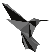 Avatar for RibbitX from gravatar.com