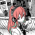 Avatar for Nekidev from gravatar.com