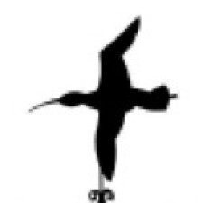 Avatar for Colin Blackburn from gravatar.com