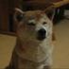 Avatar for Kozo Nishida from gravatar.com