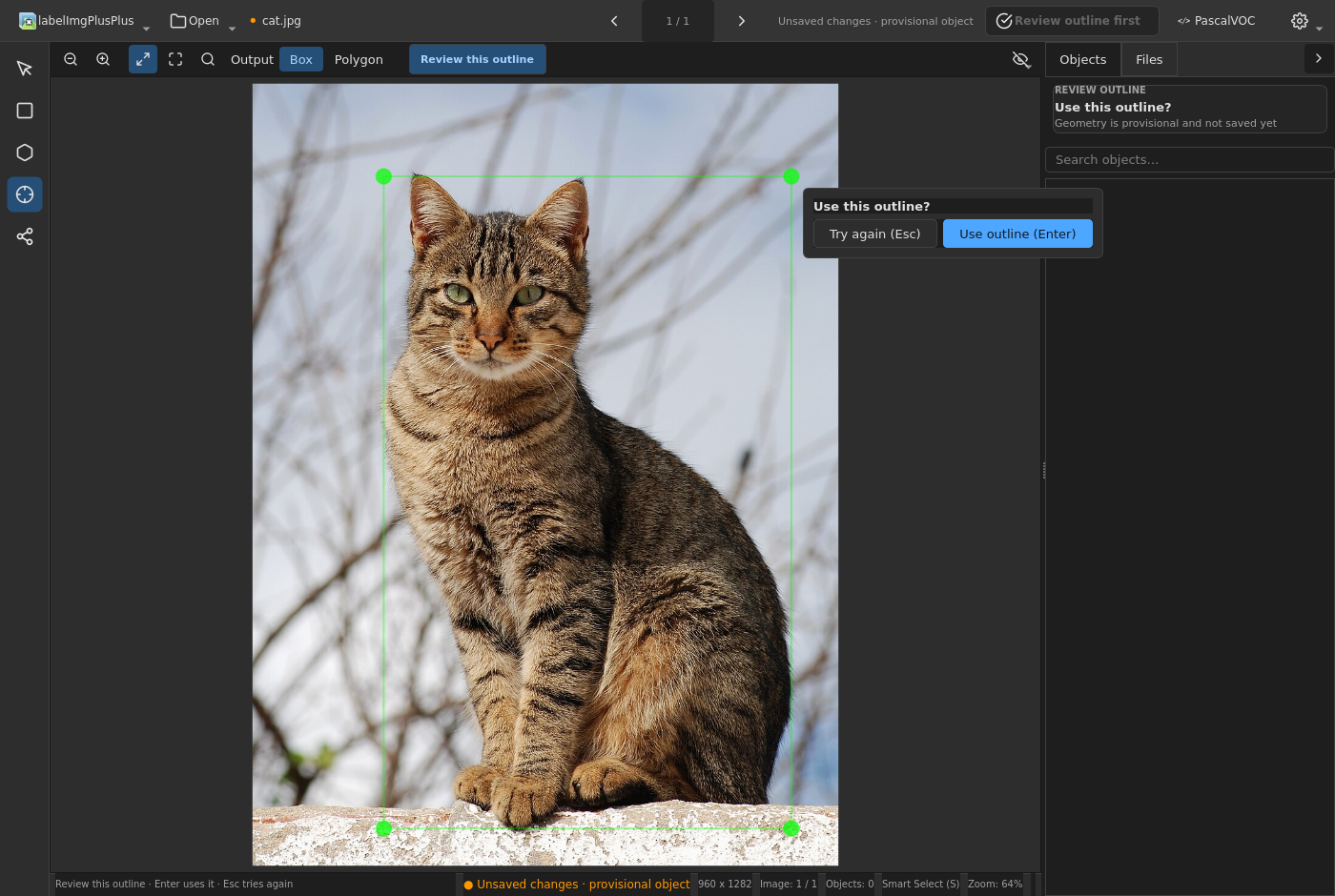 MobileSAM-generated cat bounding box awaiting outline approval
