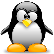 Avatar for softMajik from gravatar.com
