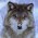 Avatar for dereckson from gravatar.com