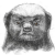 Avatar for stephenshenying from gravatar.com