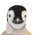 Avatar for NeonDevelopment from gravatar.com