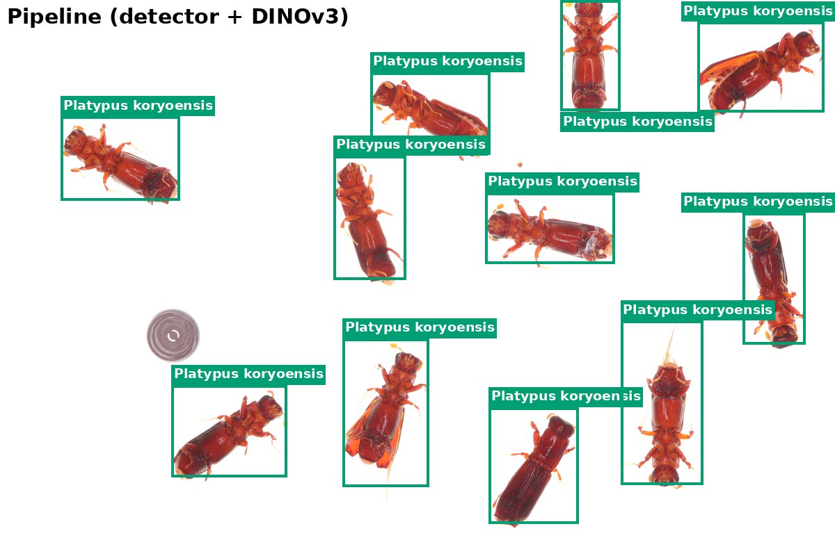 Two-stage identification