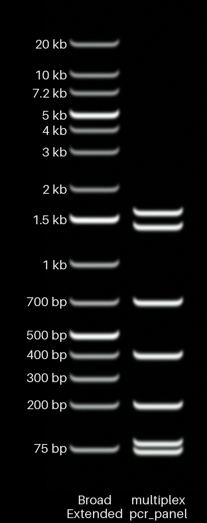 Multiplex panel at 1.5%