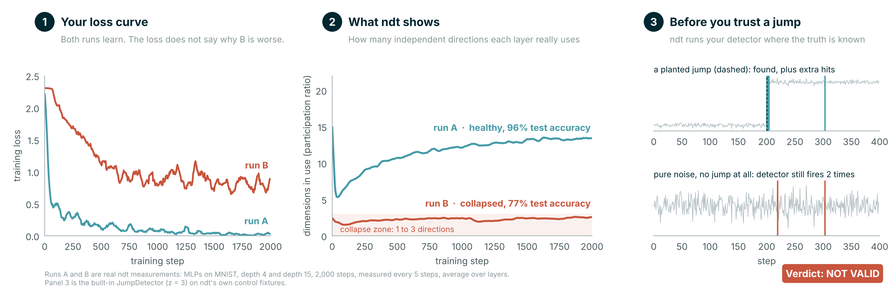 Two real training runs. Both losses go down, but ndt shows run A using about 13 dimensions with 96% accuracy while run B stays collapsed at 1 to 3 dimensions with 77% accuracy. ndt also tests a jump detector on known data: it finds a planted jump but also fires on pure noise, so the verdict is NOT VALID.
