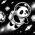 Avatar for AsiPanda from gravatar.com