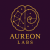 Avatar for aureon from gravatar.com