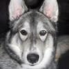 Avatar for Ryan Beaman from gravatar.com