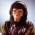 Avatar for dr_cornelius from gravatar.com
