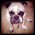 Avatar for paulosuzart from gravatar.com