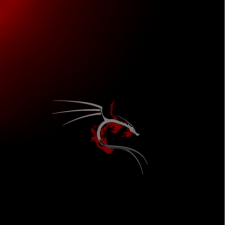 Avatar for IrfanDect from gravatar.com