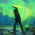 Avatar for AKSHILMY from gravatar.com