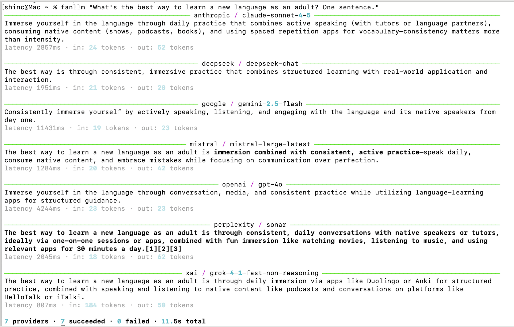 fanllm terminal output