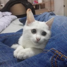 Avatar for Jove Yu from gravatar.com