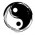 Avatar for DaniilTatem from gravatar.com
