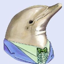 Avatar for Squaar from gravatar.com