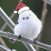 Avatar for DigiBugCat from gravatar.com