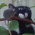 Avatar for atspaeth from gravatar.com
