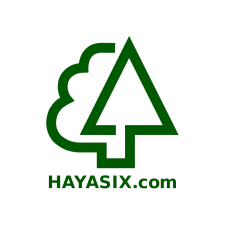 Avatar for HAYASHI,Hideki from gravatar.com
