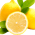Avatar for lemonforest from gravatar.com