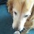 Avatar for Barkin-MADDOX from gravatar.com