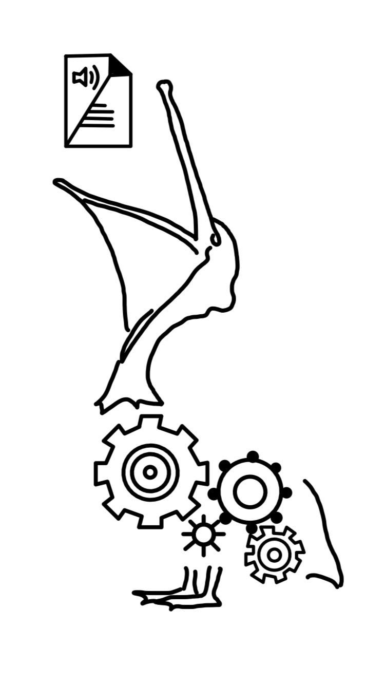 pelican_nlp Logo
