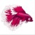 Avatar for coreyffa from gravatar.com