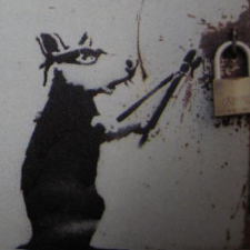 Avatar for Limitedintel from gravatar.com