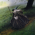 Avatar for paulyhedral from gravatar.com