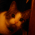 Avatar for mpsijm from gravatar.com