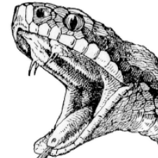 Avatar for viper from gravatar.com