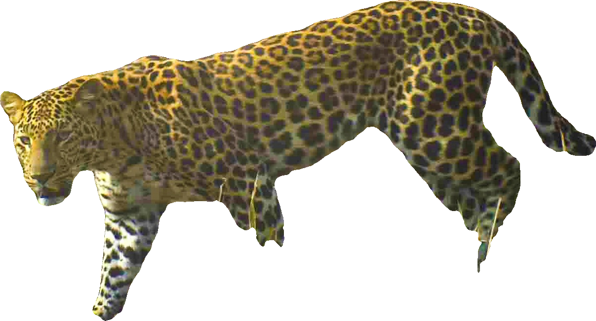 Example Mask