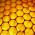 Avatar for anna-intellegens from gravatar.com