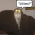 Avatar for glaiel from gravatar.com