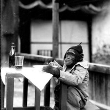 Avatar for Kelly J Davis from gravatar.com