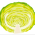 Avatar for CabbageLettuce from gravatar.com