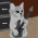 Avatar for Jegarde from gravatar.com